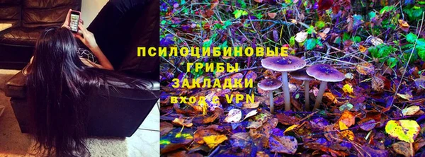 гидропоника Снежногорск
