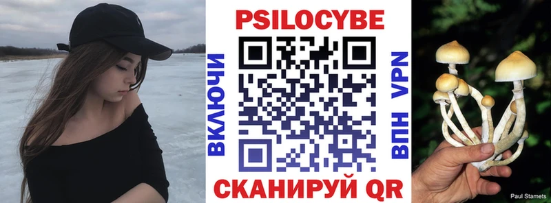 MEGA рабочий сайт  закладка  Комсомольск  Псилоцибиновые грибы Psilocybine cubensis 
